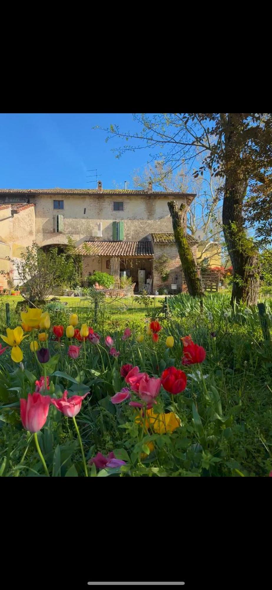 B&B Ostria Vento Medesano Exterior foto